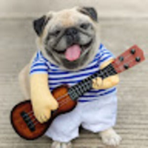 Meet your Posher, Paloma